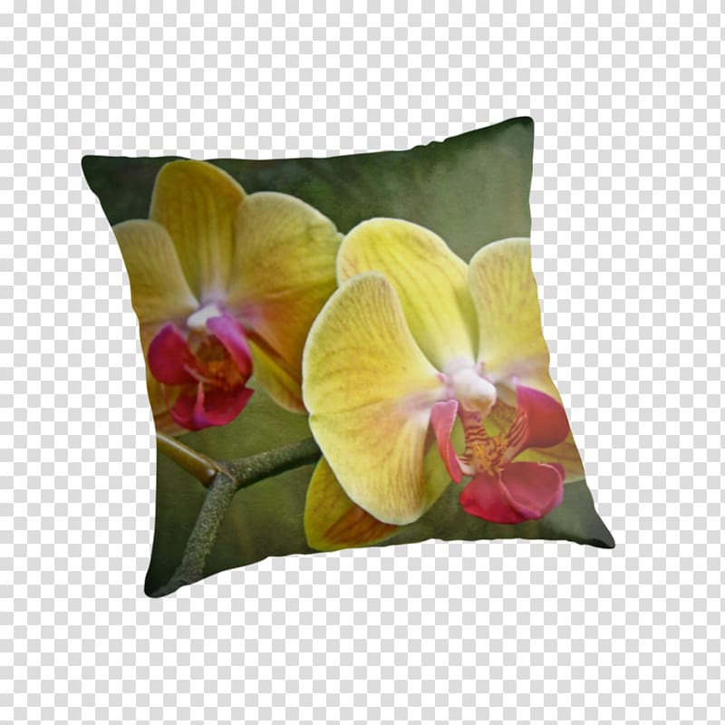 Moth orchids Epiphyte Yellow Petal, Orchid yellow transparent background PNG clipart