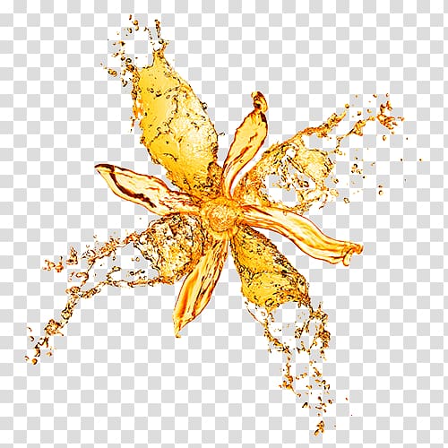 Water Flower Drop Splash, Petal drops transparent background PNG clipart