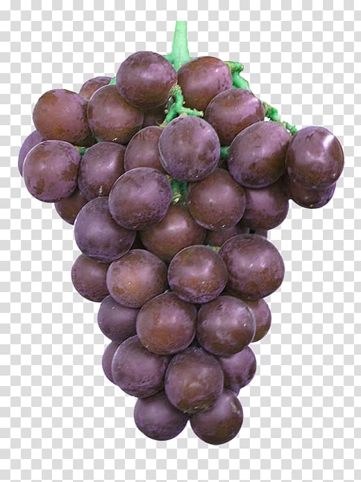Kyoho Grape Beizhen Sugar Sweetness, A string of purple grapes transparent background PNG clipart
