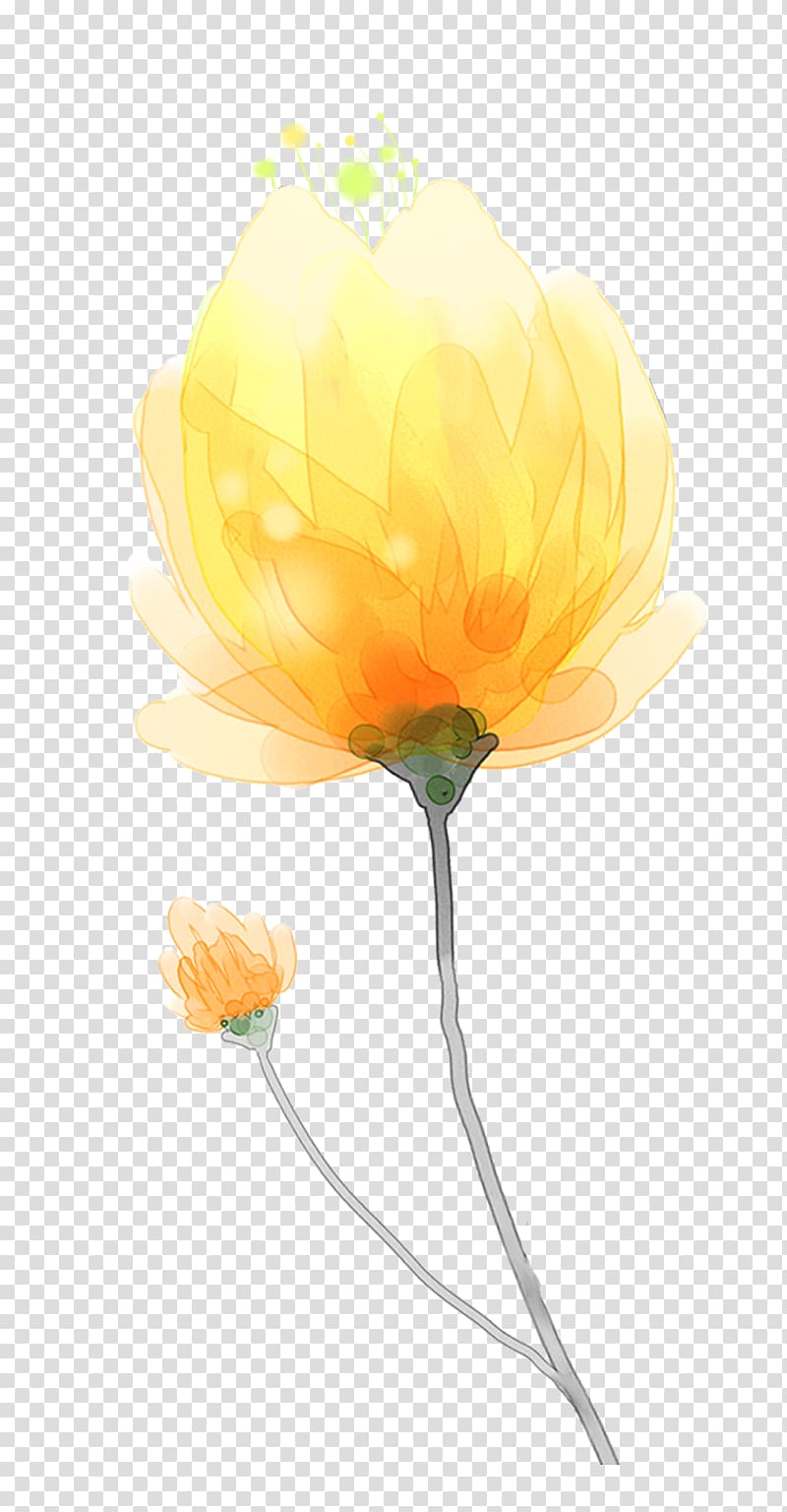 yellow hand-painted watercolor flower decoration pattern transparent background PNG clipart