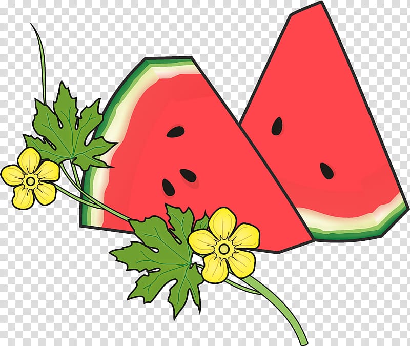 Drawing Watermelon Gospel Coloring book, bi transparent background PNG clipart