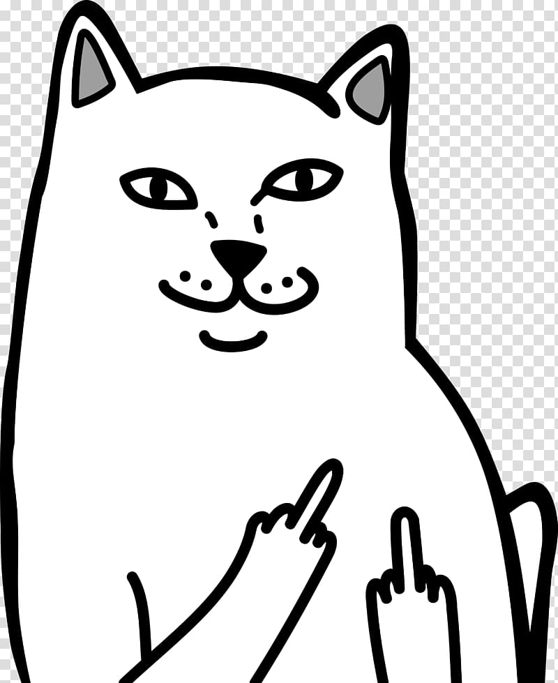 lord nermal illustration, Cat Middle finger The finger T-shirt, meme transparent background PNG clipart