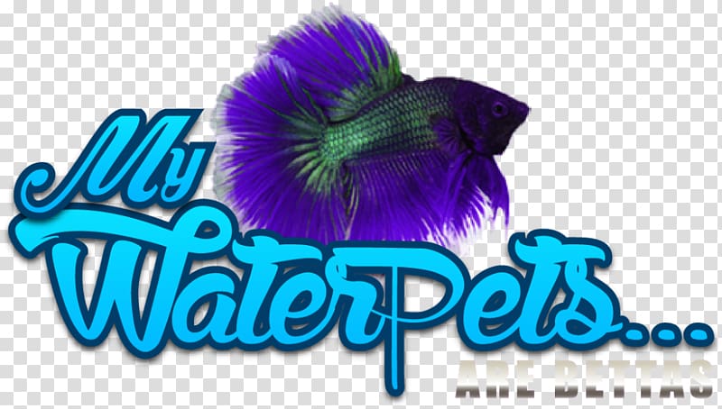 Siamese fighting fish Female Logo Graphic design Pet, betta transparent background PNG clipart