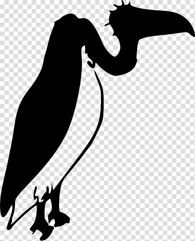 Beaky Buzzard Turkey vulture Bird , Llama Outline transparent background PNG clipart