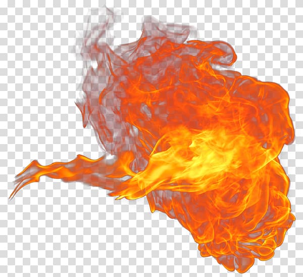 Flame Organism, flame transparent background PNG clipart