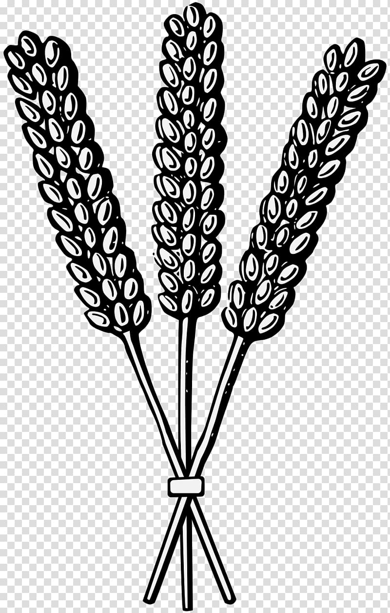 Sheaf Wheat Heraldry Cereal PDF, wheat transparent background PNG clipart