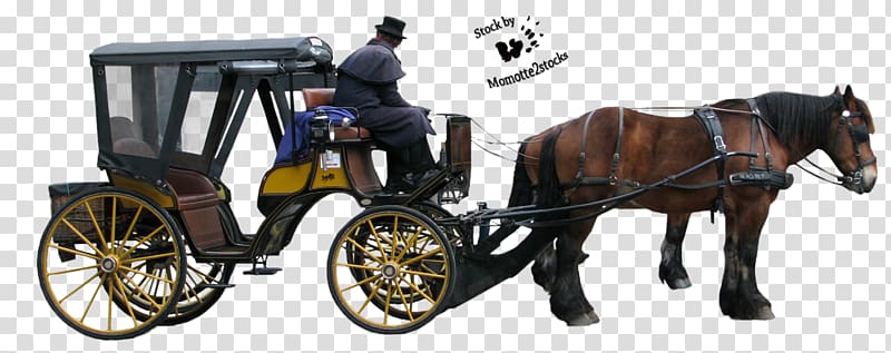Horse and buggy Carriage Horse-drawn vehicle, Carriage transparent background PNG clipart