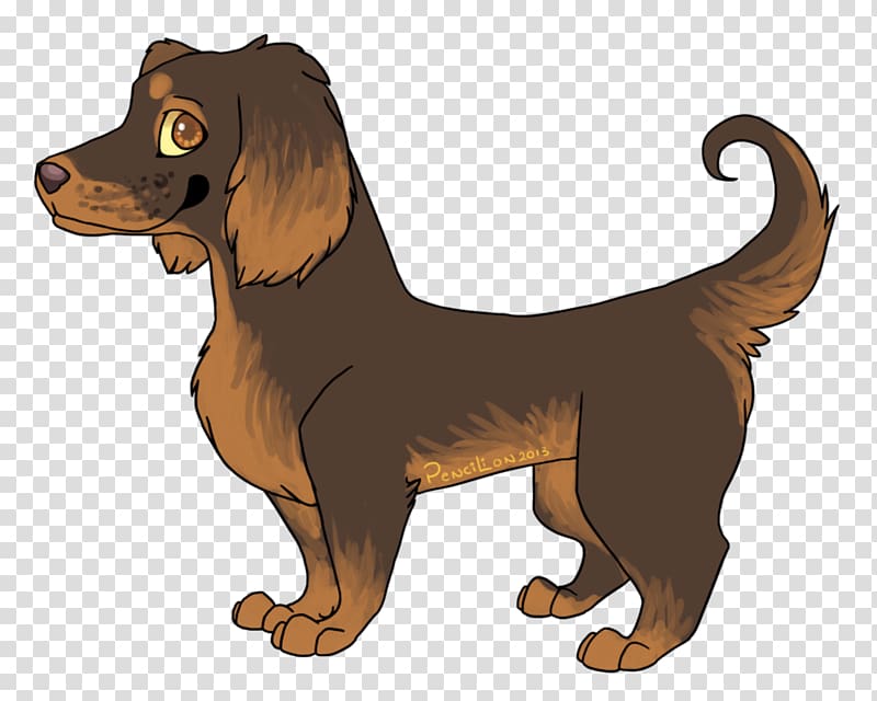 Boykin Spaniel Puppy Dog breed Drawing, Dog Drawing transparent background PNG clipart