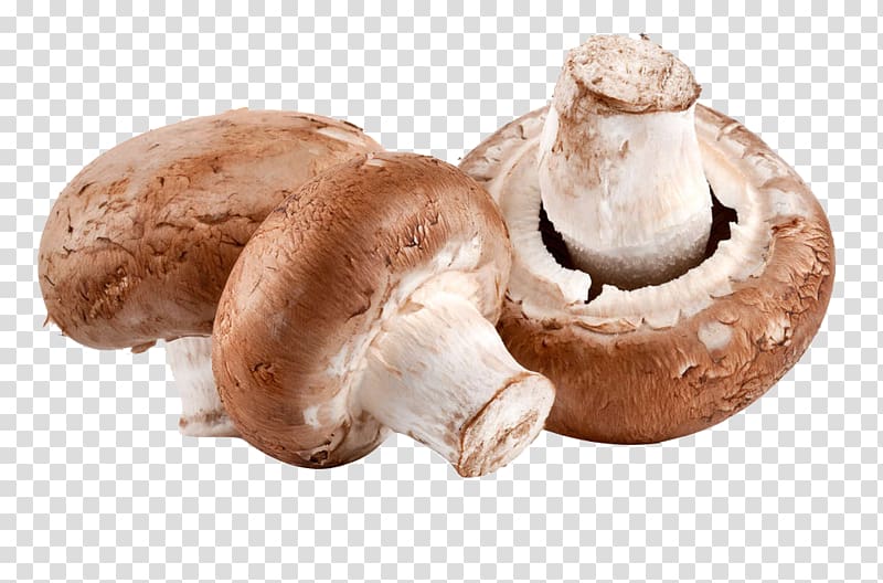 brown mushroom , Vitamin D Vitamin A Sauce N Cheese Health, mushroom transparent background PNG clipart