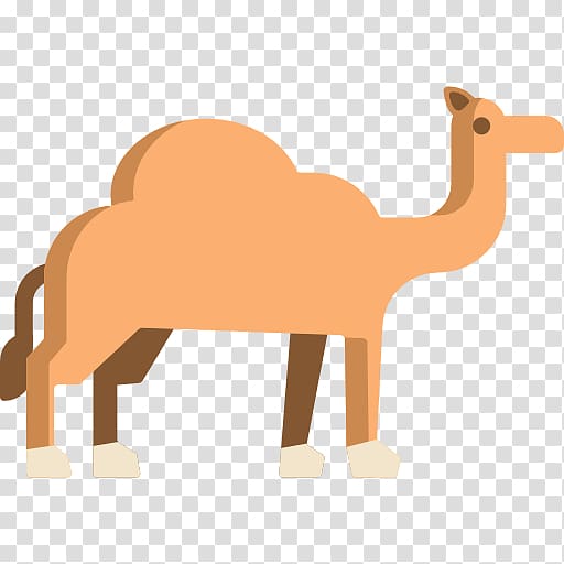 Dromedary Computer Icons Scalable Graphics Animal, camels transparent background PNG clipart