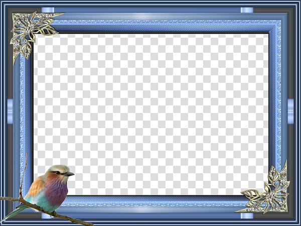 perched bird frame , Bird frame Blue , Blue bird border transparent background PNG clipart