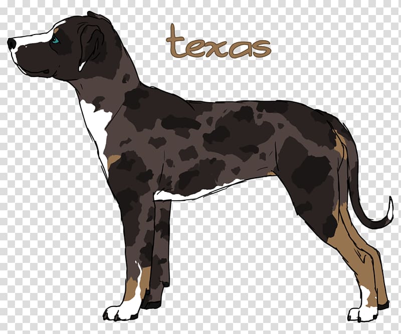 Dog breed Great Dane Crossbreed, catahoula transparent background PNG clipart