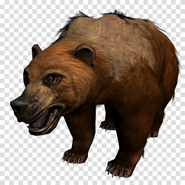 Grizzly bear Alaska Peninsula brown bear Terrestrial animal Fur, bear transparent background PNG clipart