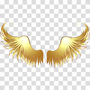 Gold Angel Wings No BG - Openclipart