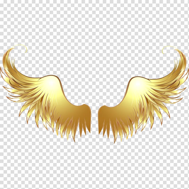 yellow wings illustration, Drawing , Angel wings material transparent background PNG clipart