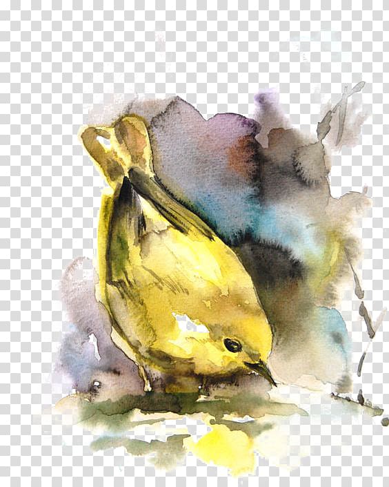 Bird Watercolor painting Drawing, Yellow Sparrow transparent background PNG clipart