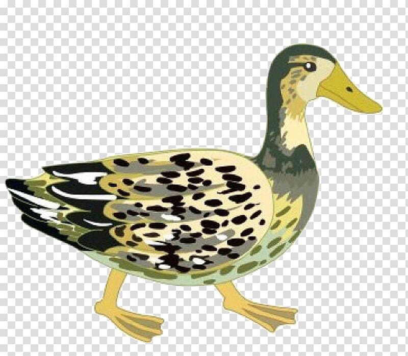 Mallard Duck Goose Drawing, duck transparent background PNG clipart