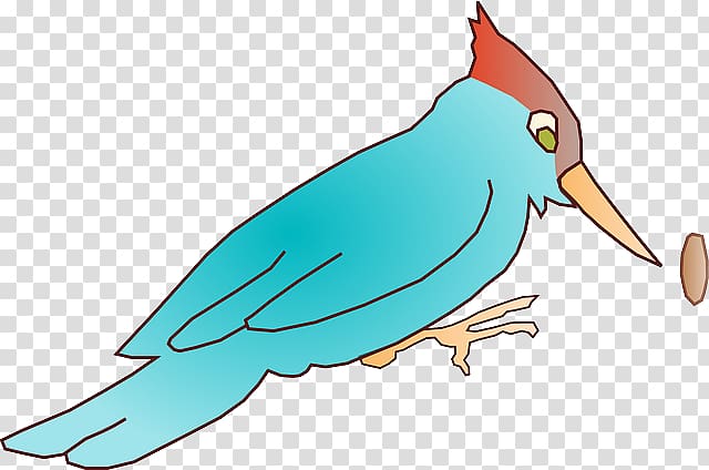 Woodpecker Piciformes , lady bird cartoon transparent background PNG clipart