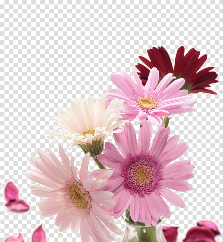 Desktop Flower , flower transparent background PNG clipart