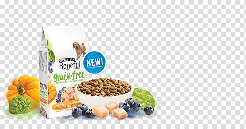 Beneful Dog Food Pet food Nestlé Purina PetCare Company Cat, Cat transparent background PNG clipart
