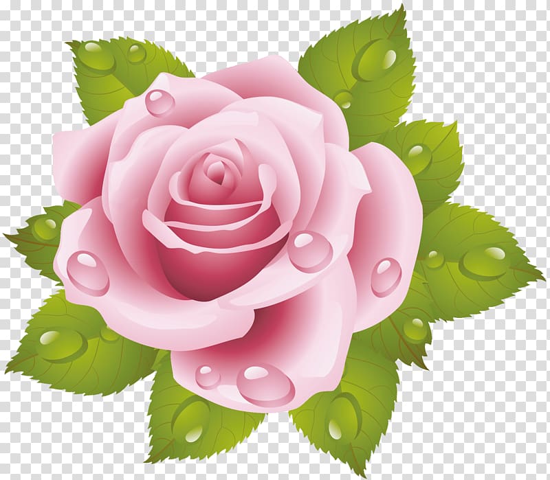 Rose Cross-stitch Pink Floral design Flower, rose transparent background PNG clipart