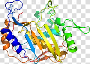 Line Human behavior Point , line transparent background PNG clipart thumbnail