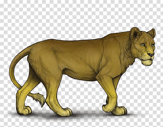 Felidae Sunset Lion Sky Sunrise, lion transparent background PNG clipart