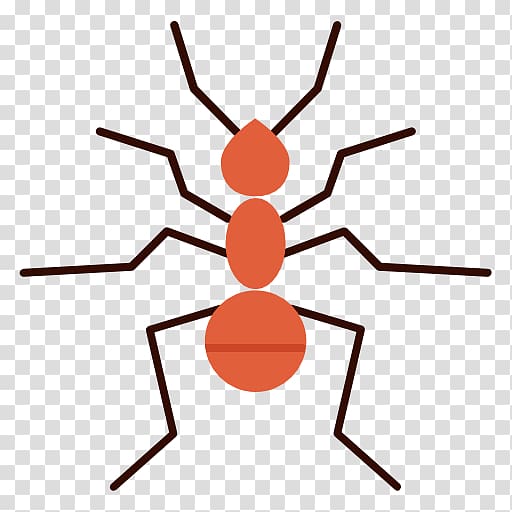 Ant Computer Icons Insect , insect transparent background PNG clipart