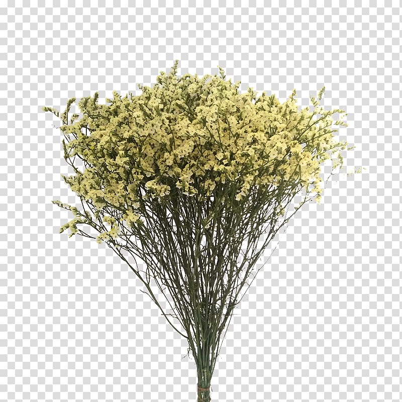 yellow flower bouquet, Flower bouquet Nosegay Wedding, Dried Bouquet transparent background PNG clipart