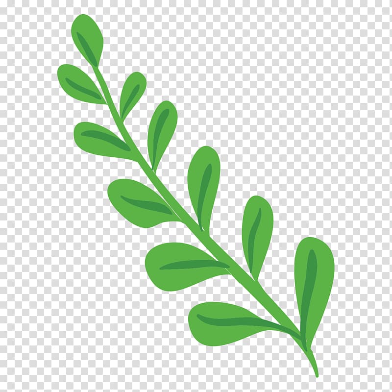 Flower Plant stem , bang transparent background PNG clipart