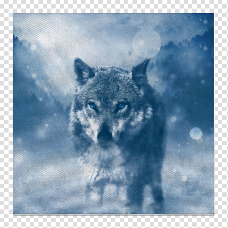 Desktop Wolf High-definition television 4K resolution Winter, winter transparent background PNG clipart
