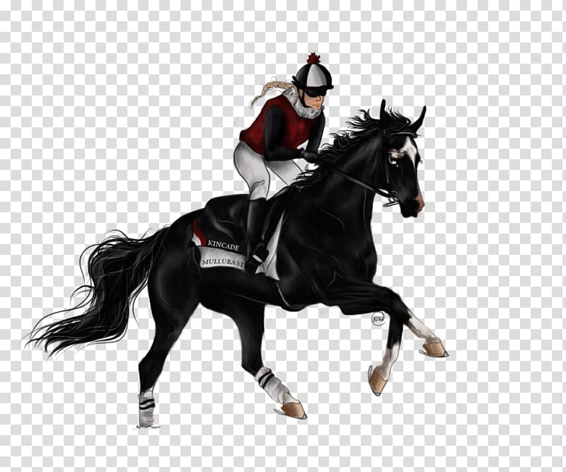 Stallion English riding Rein Mustang Equestrian, mustang transparent background PNG clipart