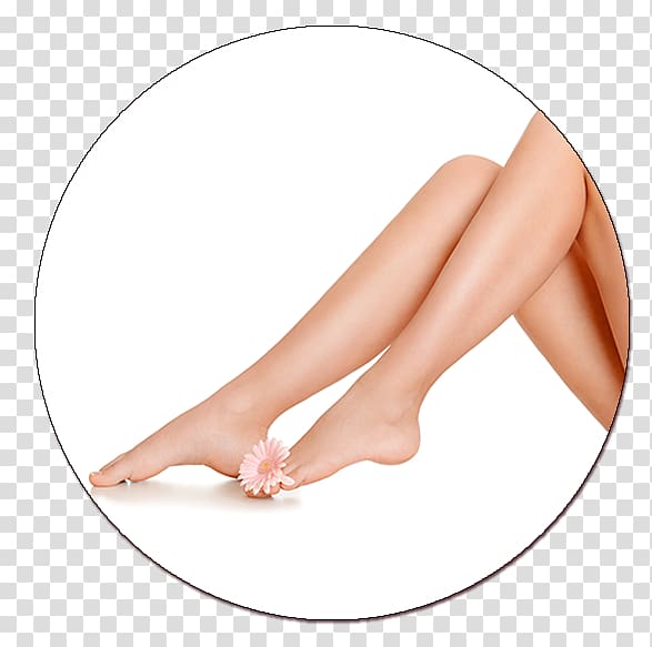 Hair removal Human leg Human body Wax, hair transparent background PNG clipart