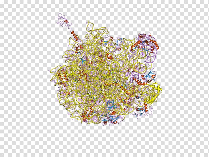 DNA Nucleic acid double helix Nucleic acid structure Base pair, dna structure human transparent background PNG clipart