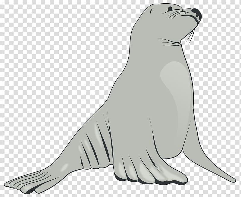 Sea lion Elephant seal , Hippopotamus Art transparent background PNG clipart
