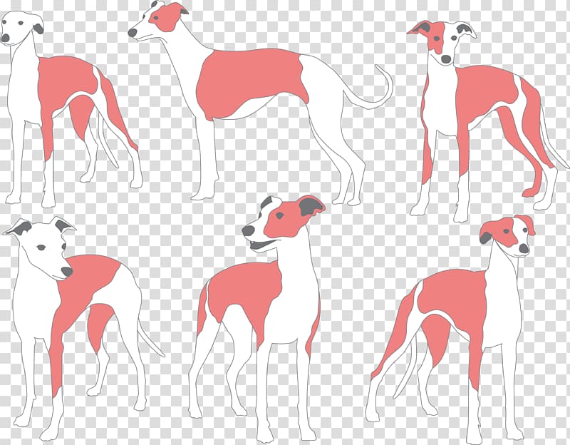 Whippet Italian Greyhound Galgo Espaxf1ol Dog breed, Painted dog transparent background PNG clipart