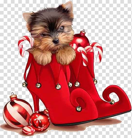 Yorkshire Terrier Christmas card Puppy Christmas ornament, christmas transparent background PNG clipart