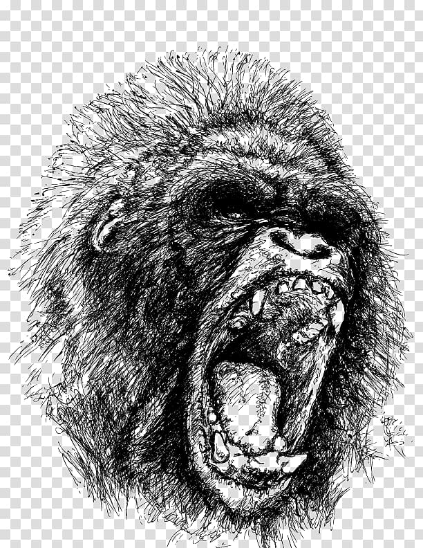 Western gorilla Ape Drawing Orangutan, Orangutan transparent background PNG clipart