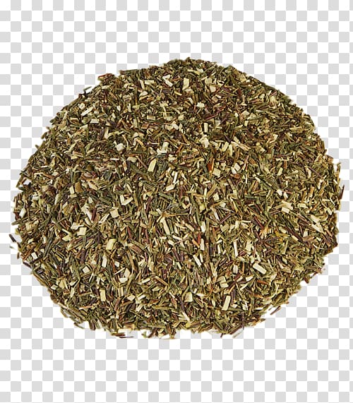 Seed Grasses Rye Lawn Lolium perenne, rooibos transparent background PNG clipart