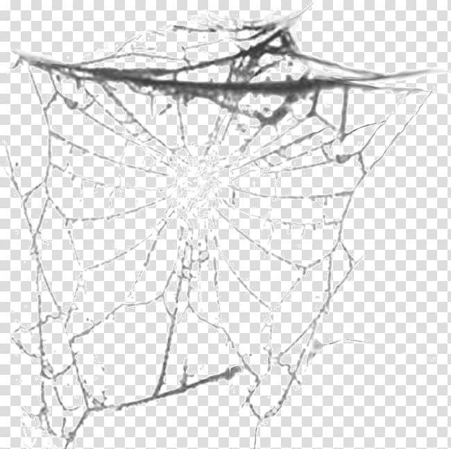 Spider Paper Pattern, Black and white spider web spider transparent background PNG clipart