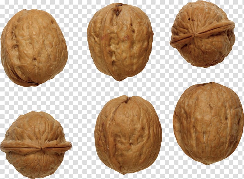 Walnut Nucule Icon , Walnut transparent background PNG clipart