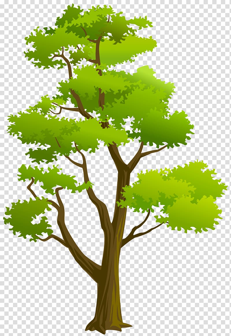 , Tree transparent background PNG clipart