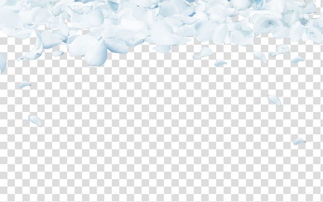 Sky Pattern, White floral background transparent background PNG clipart
