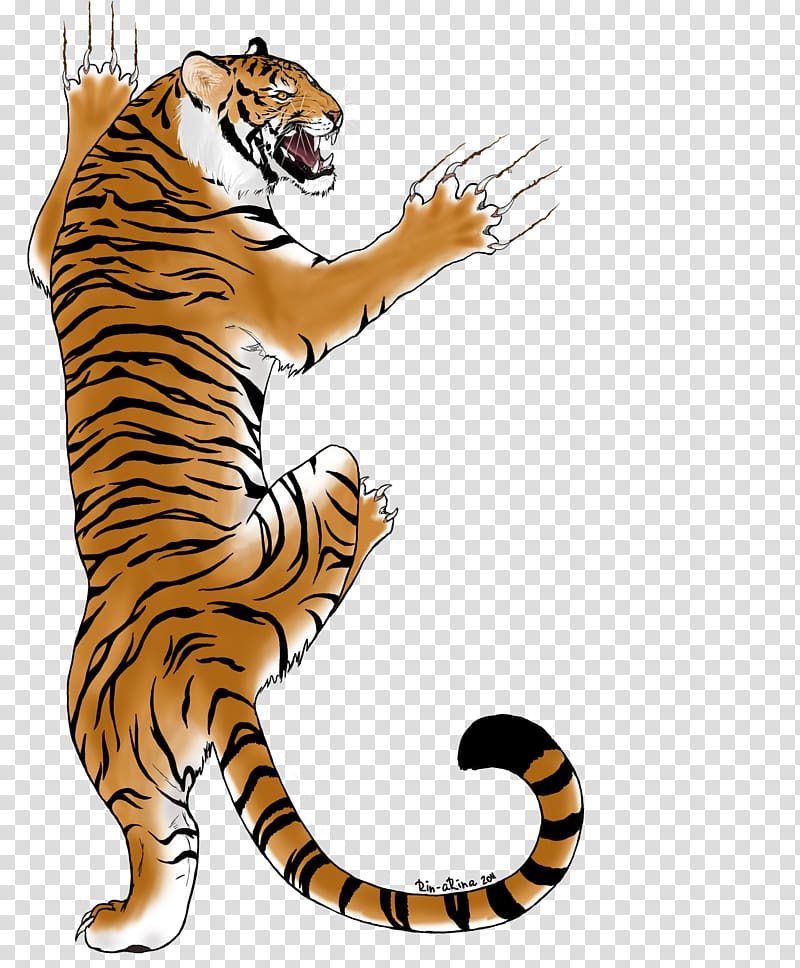 Tiger Big cat Whiskers Wildlife, tiger transparent background PNG clipart