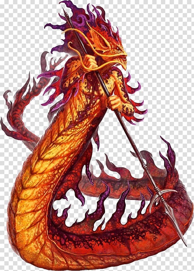 Salamanders in folklore and legend Dungeons & Dragons Elemental Monster Manual, salamander transparent background PNG clipart