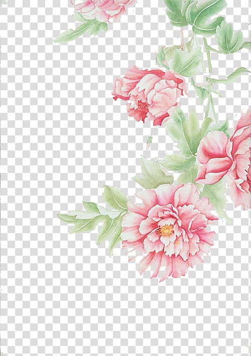 pink peony flowers watercolor painting, Floral design Cut flowers Centifolia roses, Floral background transparent background PNG clipart