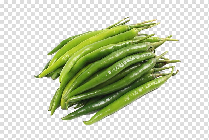 Bell pepper Snap pea Chili pepper, Green pepper transparent background PNG clipart