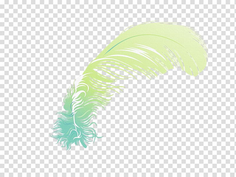 Feather, Plumas transparent background PNG clipart