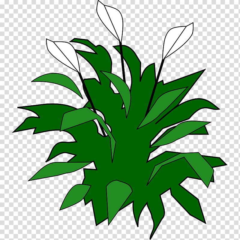 Spathiphyllum wallisii Favicon Free content , Cool Biohazard Symbols transparent background PNG clipart