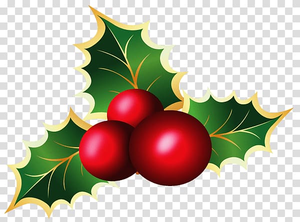 red and green mistletoe art, Mistletoe Close Up transparent background PNG clipart